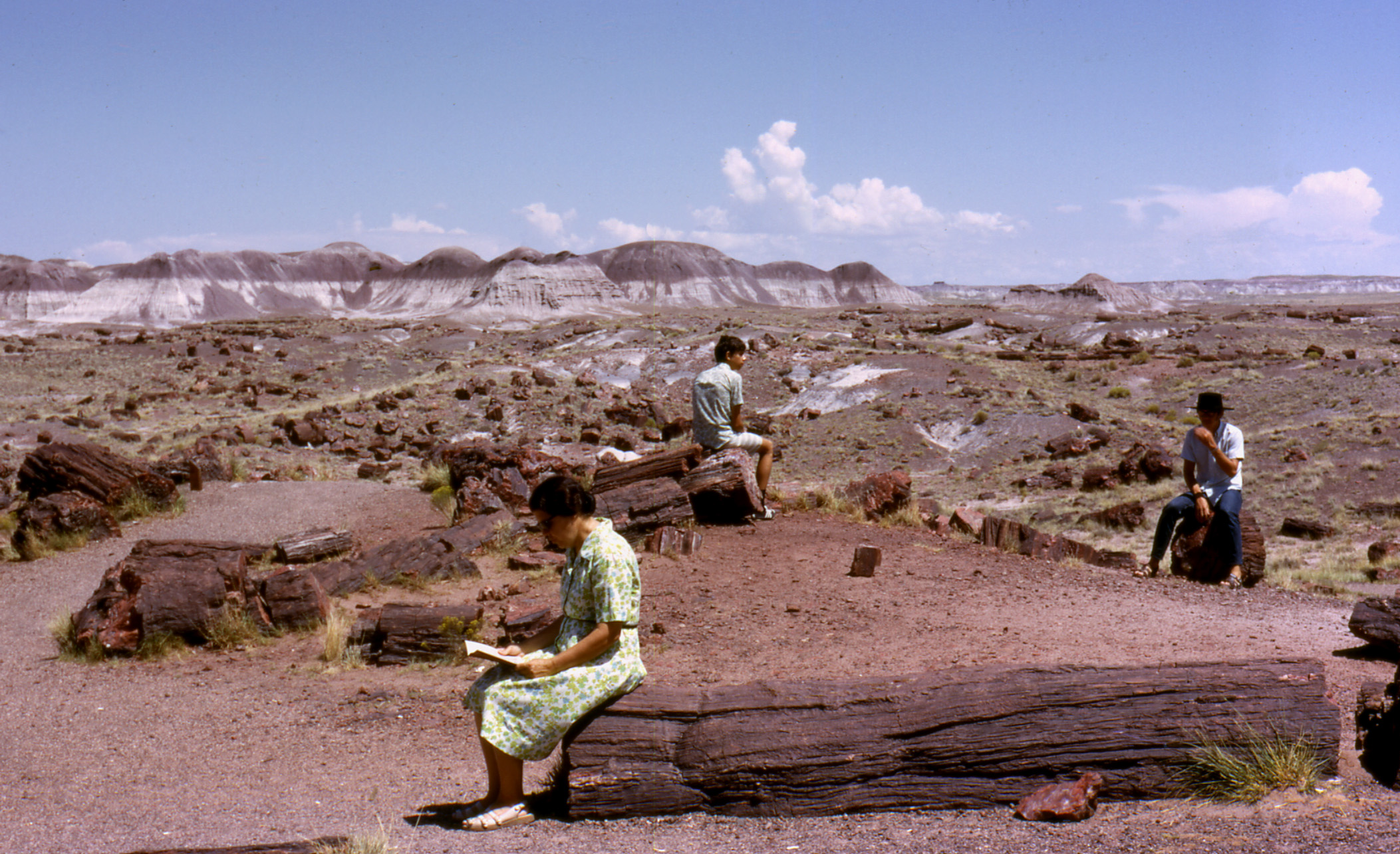 Petrified_Forest[1]